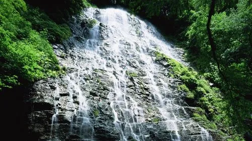 工业绿色数字化